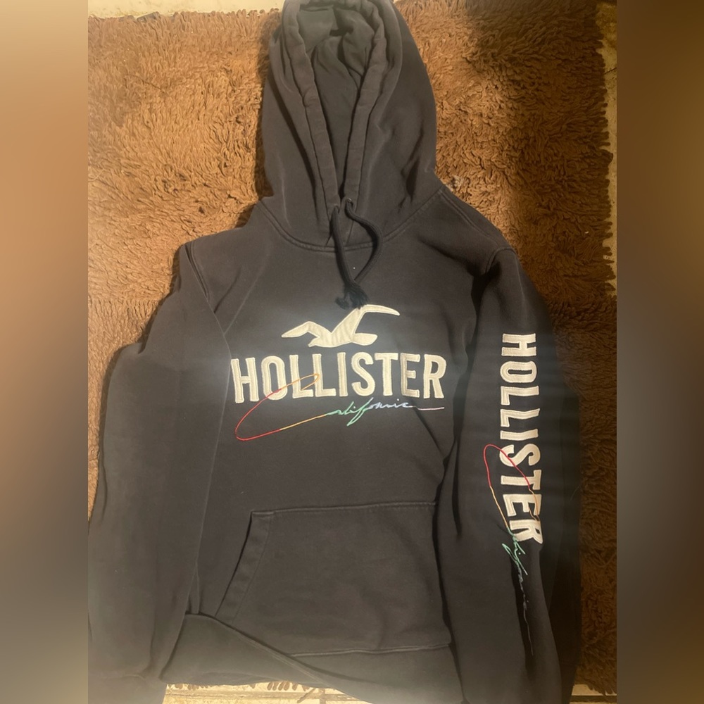 Mens Hollister hoodie